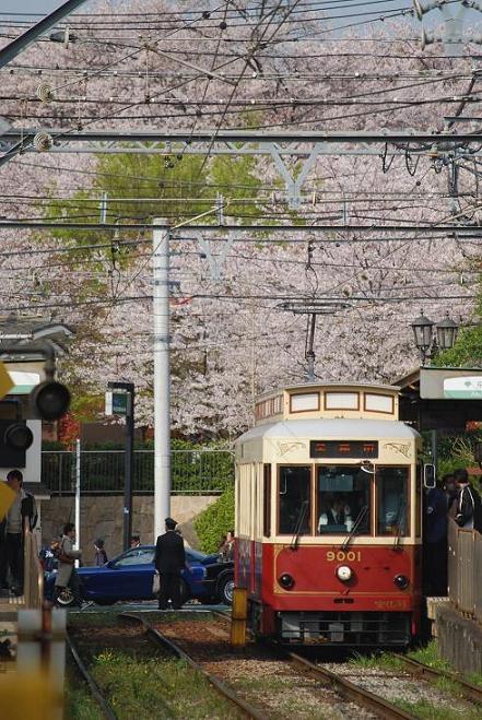 東京さくらトラム(都電荒川線)9000形(9001号車)のプラレールが発売開始