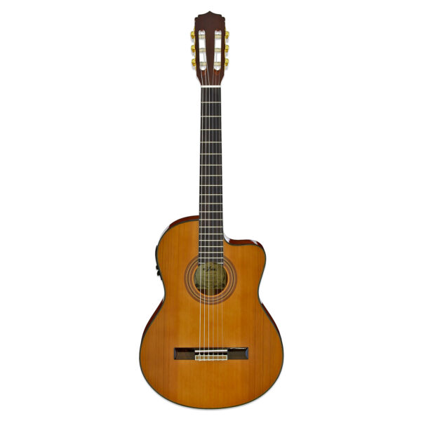 A-20-53 - Discontinued - Aria Guitars - Electric, Acoustic