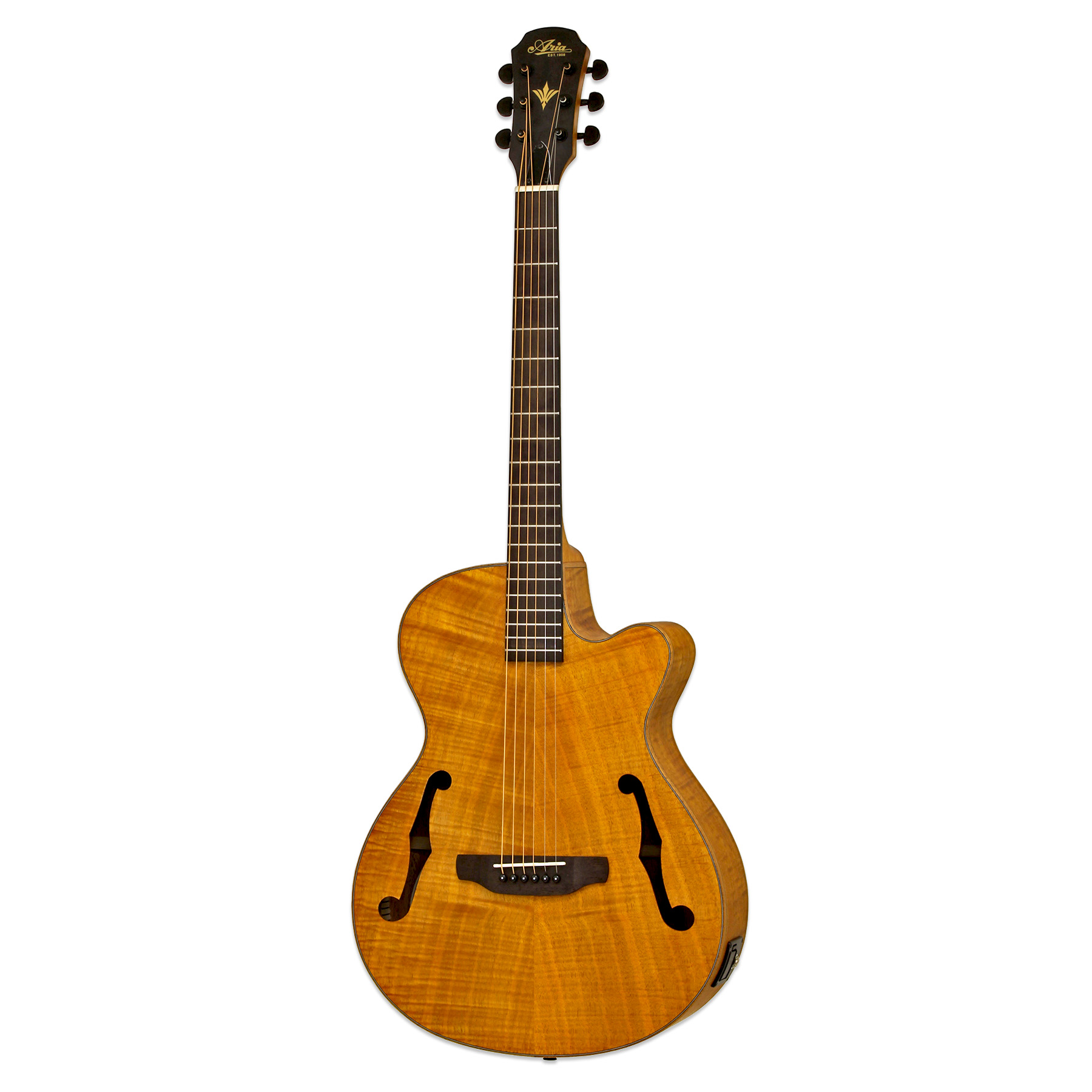 FET-F2 - Aria Guitars - Electric, Acoustic, Classical Guitars and Bass
