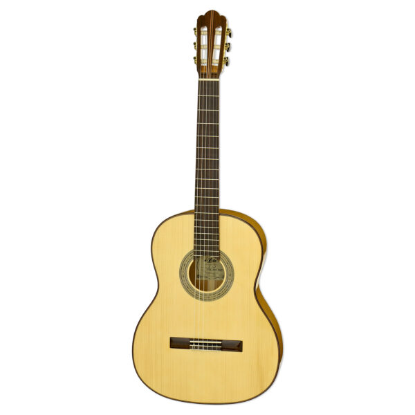 A-20F - Flamenco - Aria Guitars - Electric, Acoustic, Classical