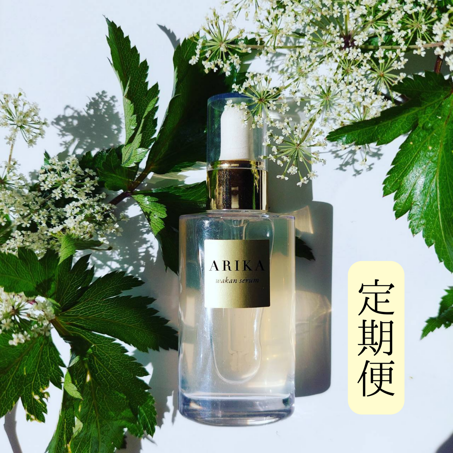 フラーレン高配合×和漢 エイジングケア美容液 – アリカセラ