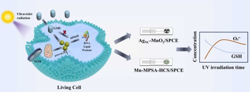 Real-Time Tracking of Glutathione and Superoxide Anion Dynamics in