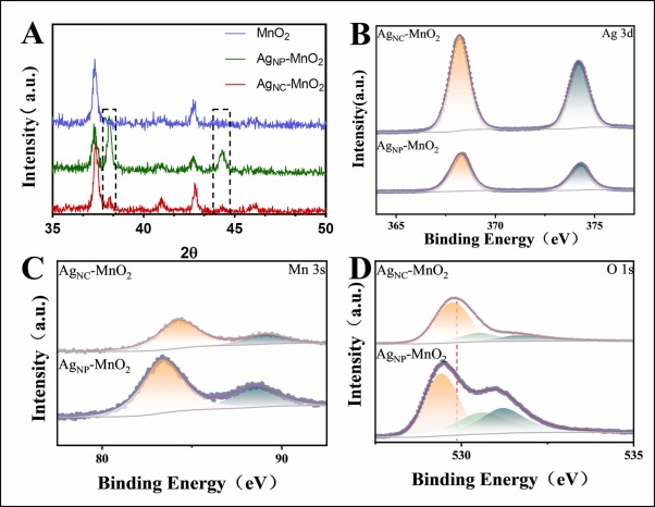 Real-Time Tracking of Glutathione and Superoxide Anion Dynamics in