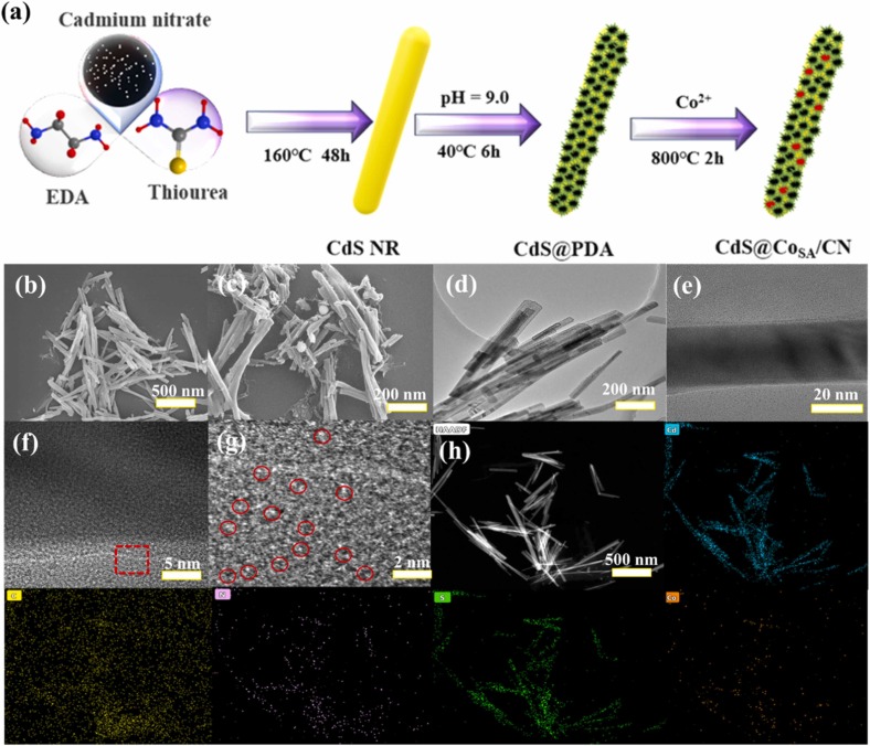 Co single-atom loaded nitrogen-doped carbon-encapsulated CdS core