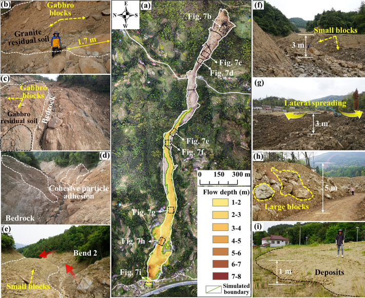 Sediment transport evolution and impact on vegetation recovery in