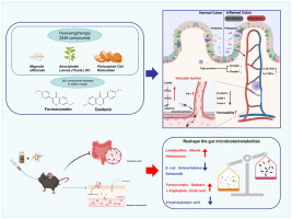 Formononetin and daidzein from Huoxiangzhengqi formula ameliorate