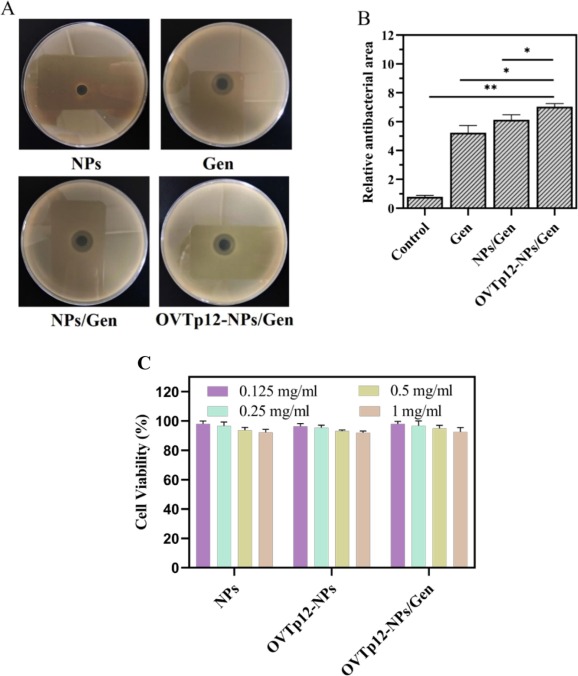 Use of peptide-modified nanoparticles as a bacterial cell