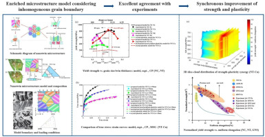 Enriched microstructure model considering inhomogeneous grain