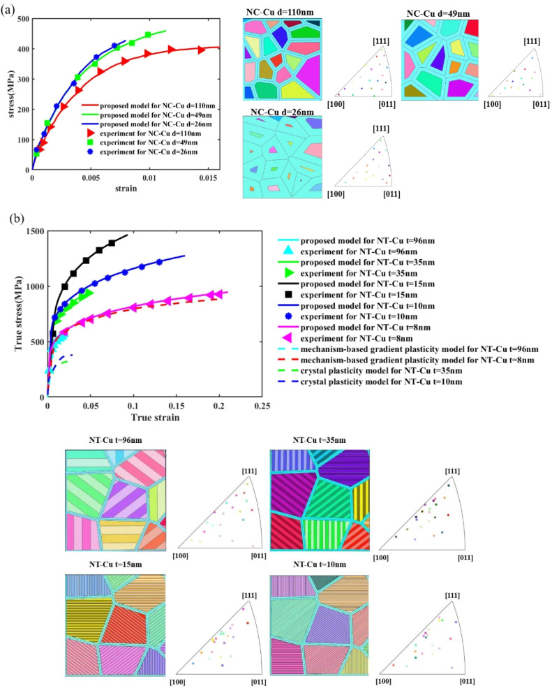 Enriched microstructure model considering inhomogeneous grain