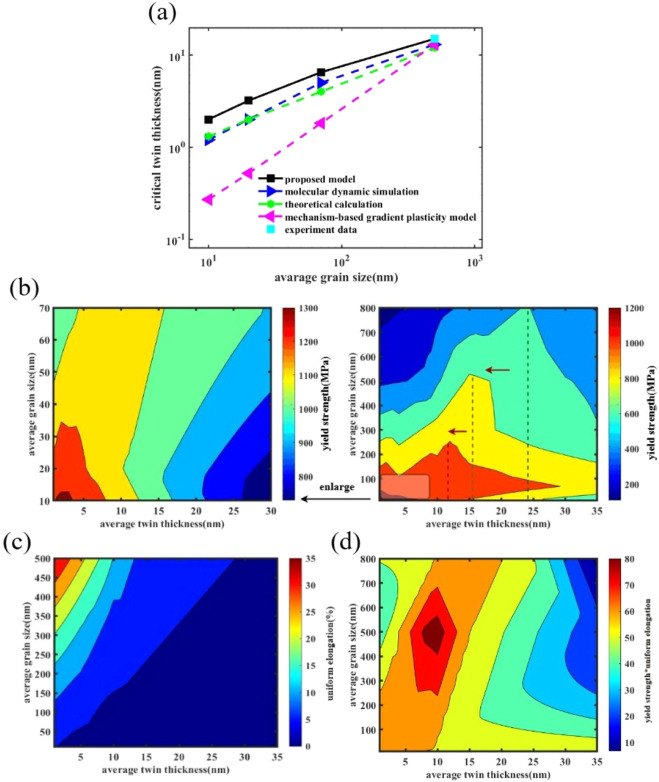 Enriched microstructure model considering inhomogeneous grain