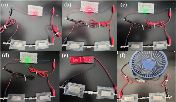CNF-reinforced ternary hydrogel electrolyte for flexible