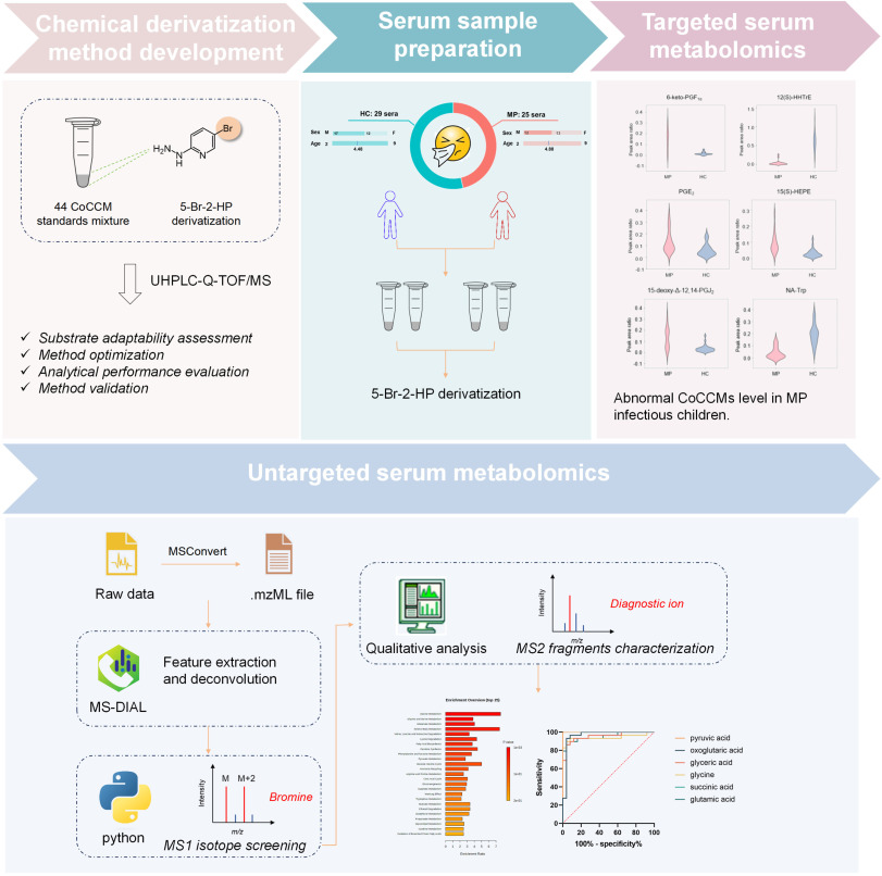 Bromine signature coded derivatization LC-MS for specific
