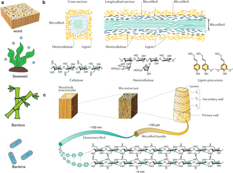 Recent advances in sustainable cellulose-based supercapacitors