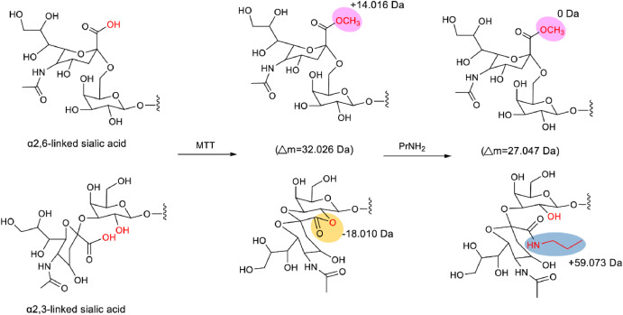 Advances in mass spectrometry-based strategies for analyzing