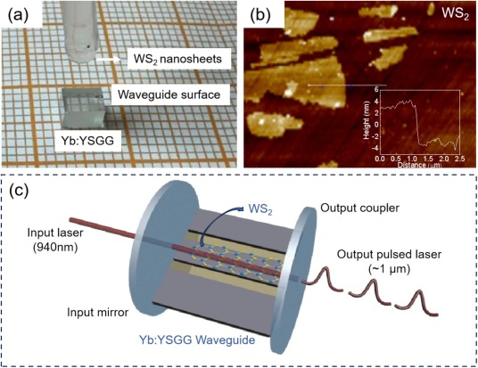 C ion irradiated and diamond blade diced Yb:YSGG channel waveguide