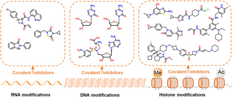 Covalent inhibitors meet epigenetics: New opportunities