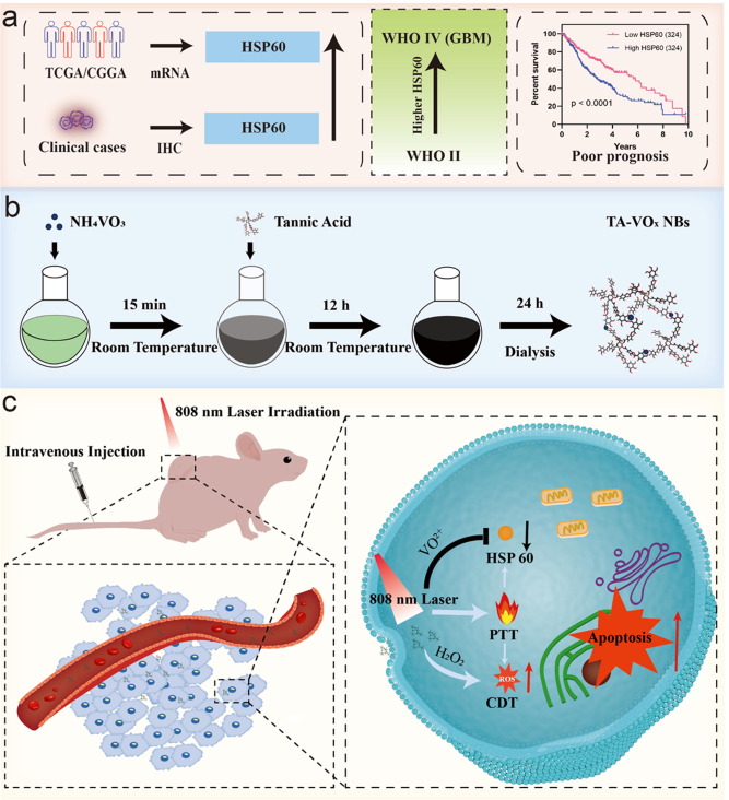 Peroxidase-mimicking TA-VOx nanobranches for enhanced photothermal