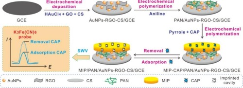 Molecularly imprinted electrochemical sensor for ultrasensitive
