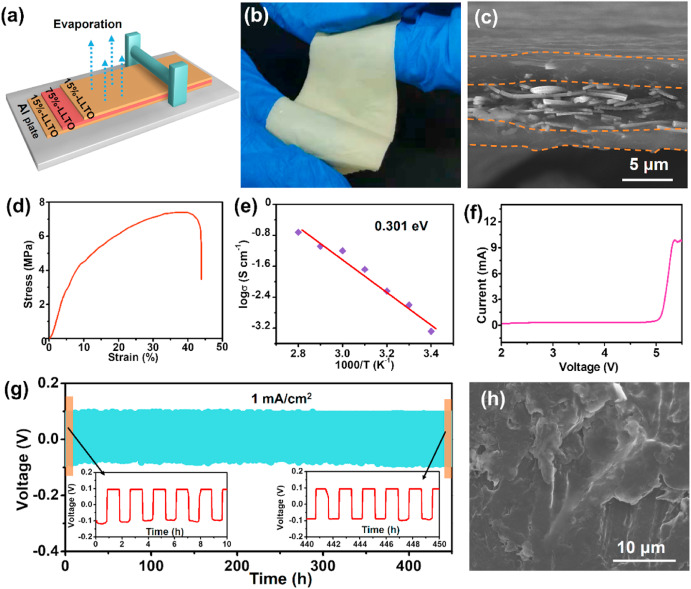 Ultrathin, flexible, and sandwiched structure composite polymer