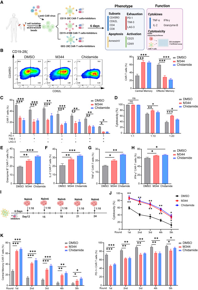 Class I HDAC inhibitors enhance antitumor efficacy and persistence