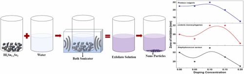 Comprehensive analysis and bioactive potential of liquid