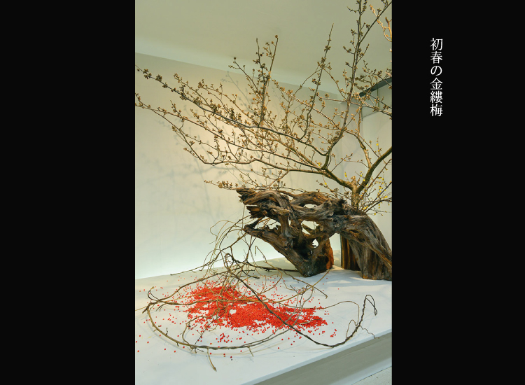 華道家・花のアーティスト杉本理照 Profile - ARTの庭