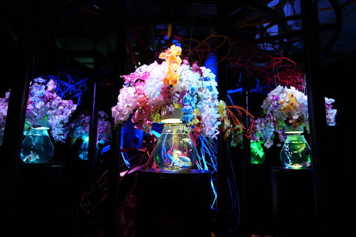 作品解説 – アートアクアリウム展 名古屋2025 | アートアクアリウム