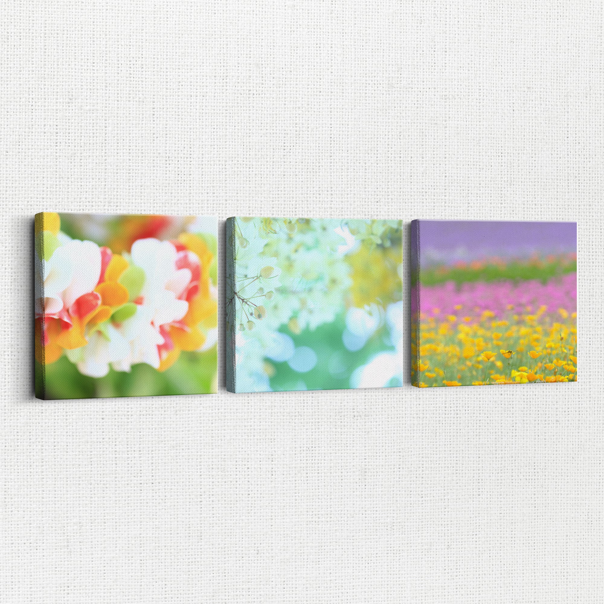 彩りのスイッチ〈3枚組〉 – 気分を切り替えるアートセット / Color