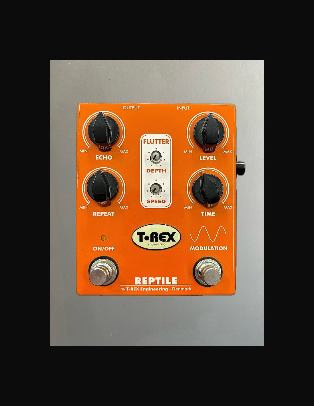 T-REX-Reptile-Delay.jpg