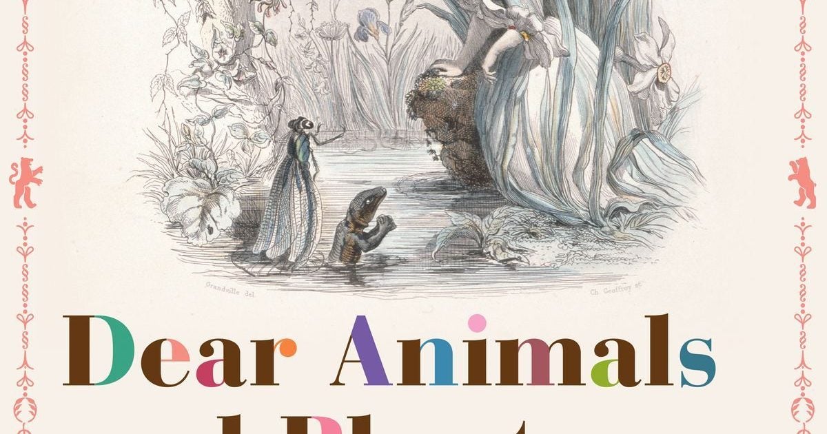 プレビュー】「Dear Animals and Plants－親愛なる仲間たち－」群馬