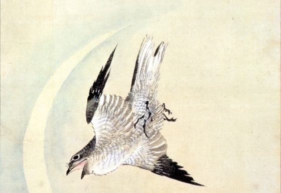 レビュー】緻密でリアル、時々デザイン的……北斎が描く「鳥」の姿