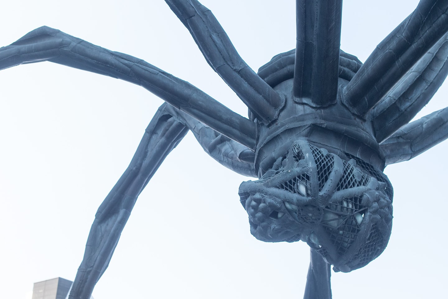 六本木ヒルズの蜘蛛は知ると見方がどんどん変わる」 / 連載「街中