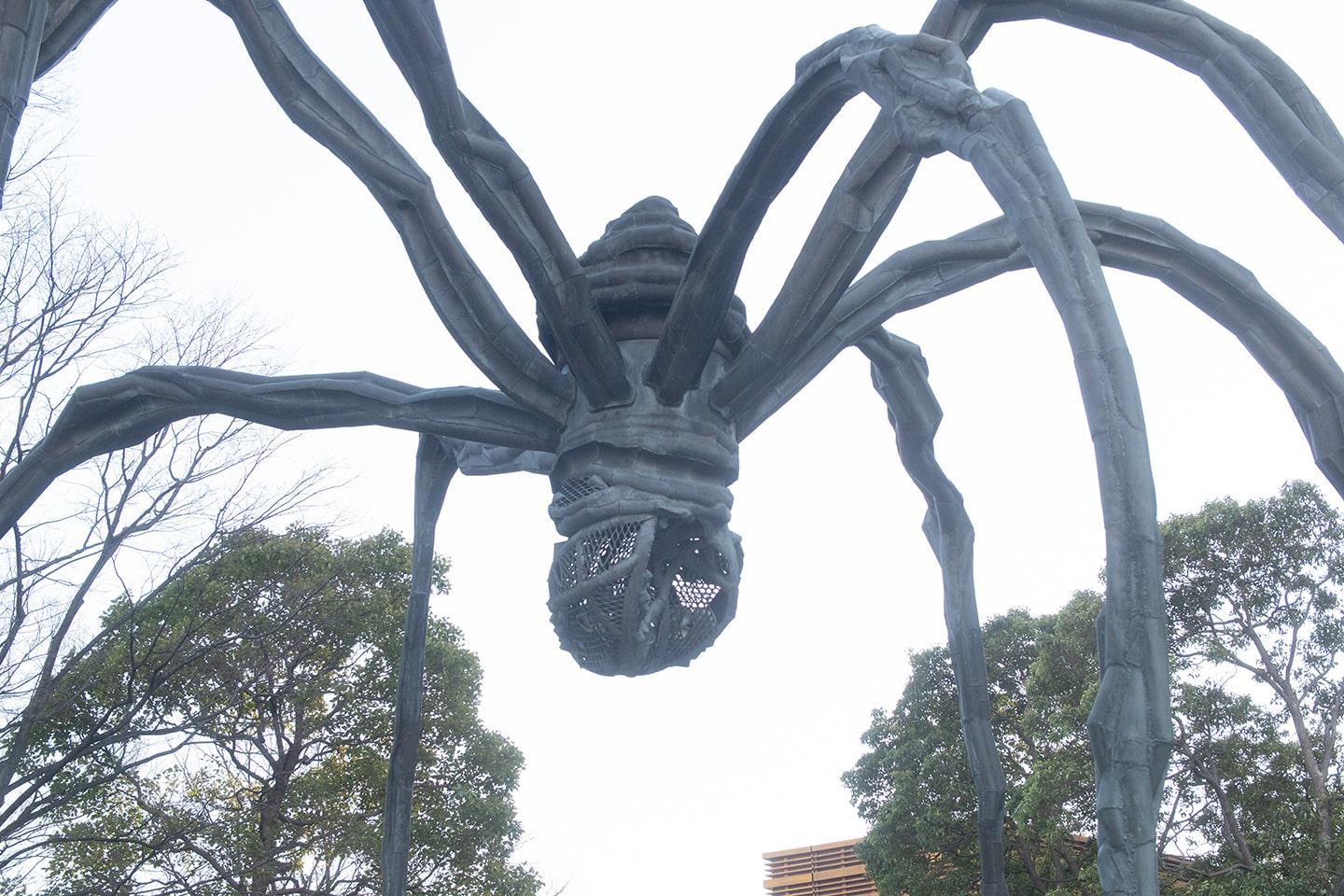 六本木ヒルズの蜘蛛は知ると見方がどんどん変わる」 / 連載「街中