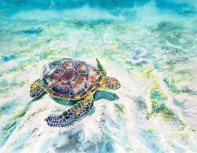 水彩画『ウミガメ』 - 絵画教室 アートスクール セント・ギャラリー