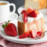 BD BBL（TM） マンニット食塩寒天培地 20枚 251173 - as kitchen（アズ