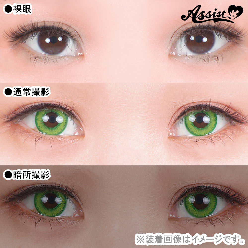 アタラキシアショップ / Assist ChouChou Shutella 1Day フレッシュライム