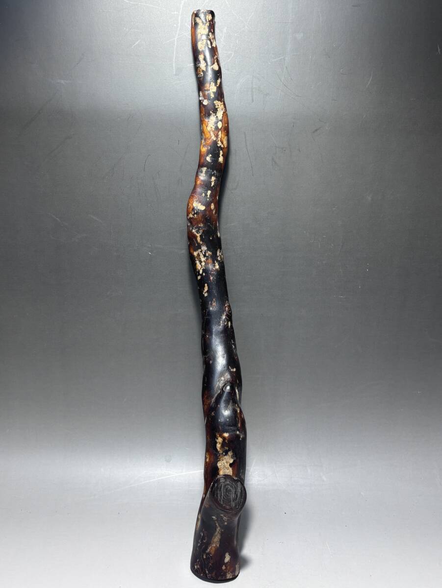 深海松の値段と価格推移は？｜3件の売買データから深海松の価値が