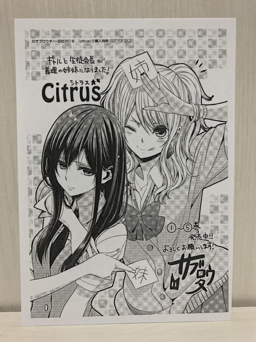 citrus シトラス 特典 イラストペーパー 漫画 コミック 非売品 アニメ