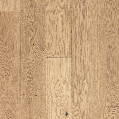 Augusta - Azalea Lane Flooring