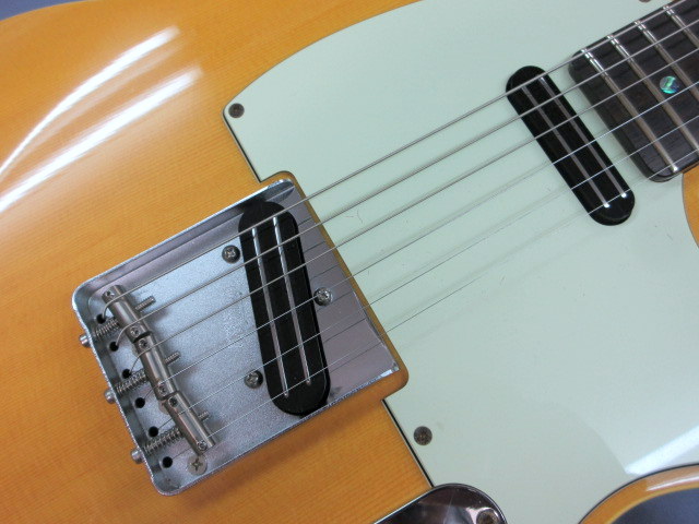 HISTORY GH-T2 / TS VNT / JOE BARDEN Danny Gatton – 神戸ギター