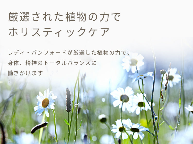 コレクション – bamford Japan