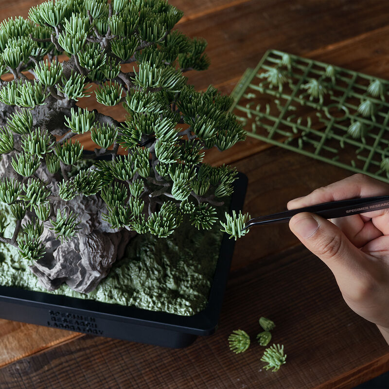 SRL X BANDAI SPIRITS . BONSAI MODEL KIT ／ TOOL SET｜プレミアム