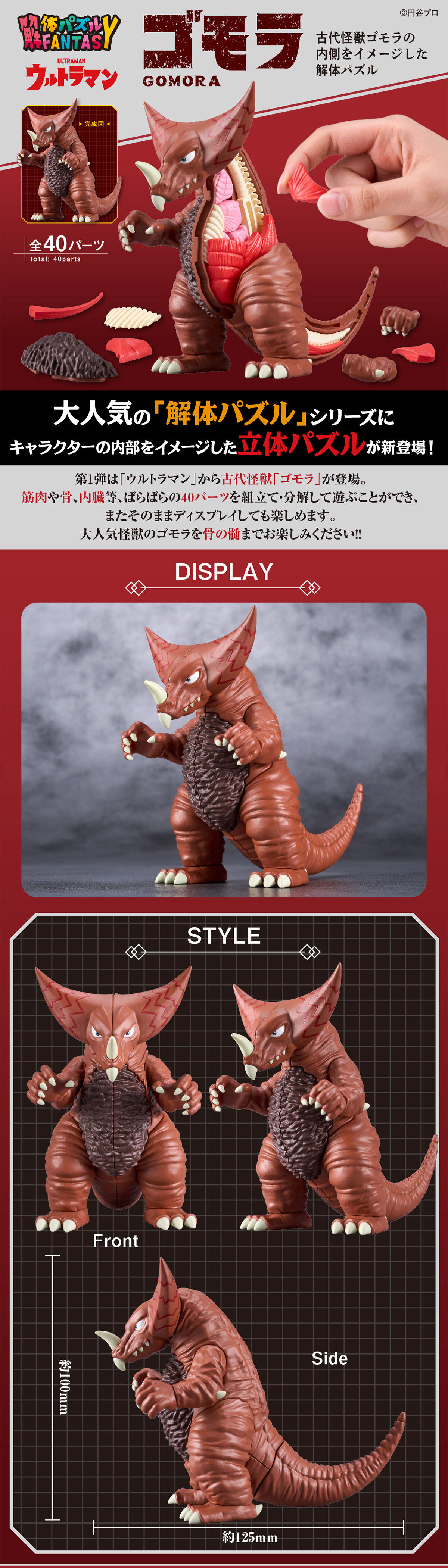 解体パズルFANTASY ゴモラ 【限定特典:透明外皮パーツ付き