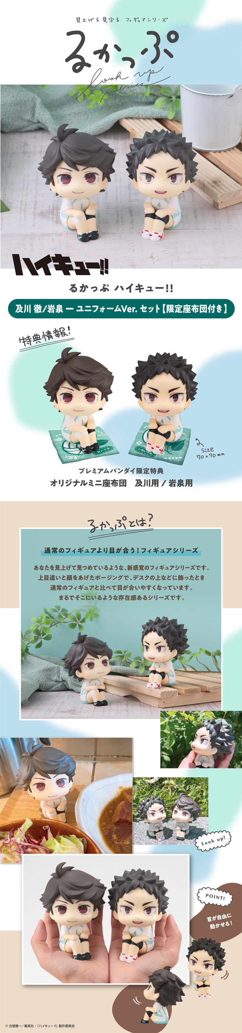 るかっぷ ハイキュー!! 及川 徹/岩泉 一 ユニフォームVer.【限定座布団