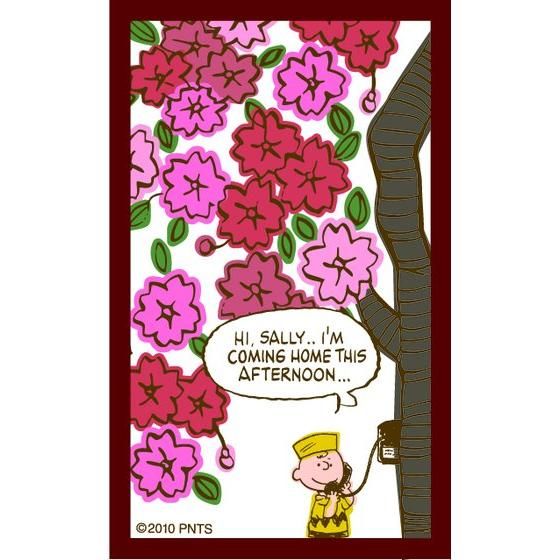 SNOOPY COMIC 花札 PEANUTS WORLD