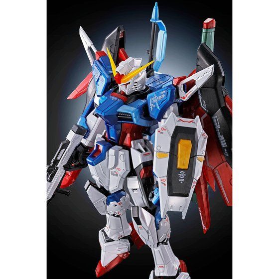 RG 1/144 デスティニーガンダム［チタニウムフィニッシュ］│株式