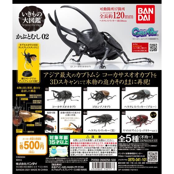 かぶとむし02｜ガシャポンオフィシャルサイト
