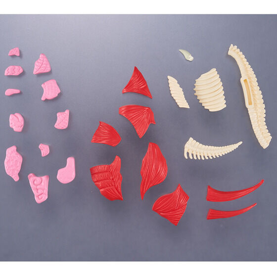 解体パズルFANTASY ゴモラ 【限定特典:透明外皮パーツ付き