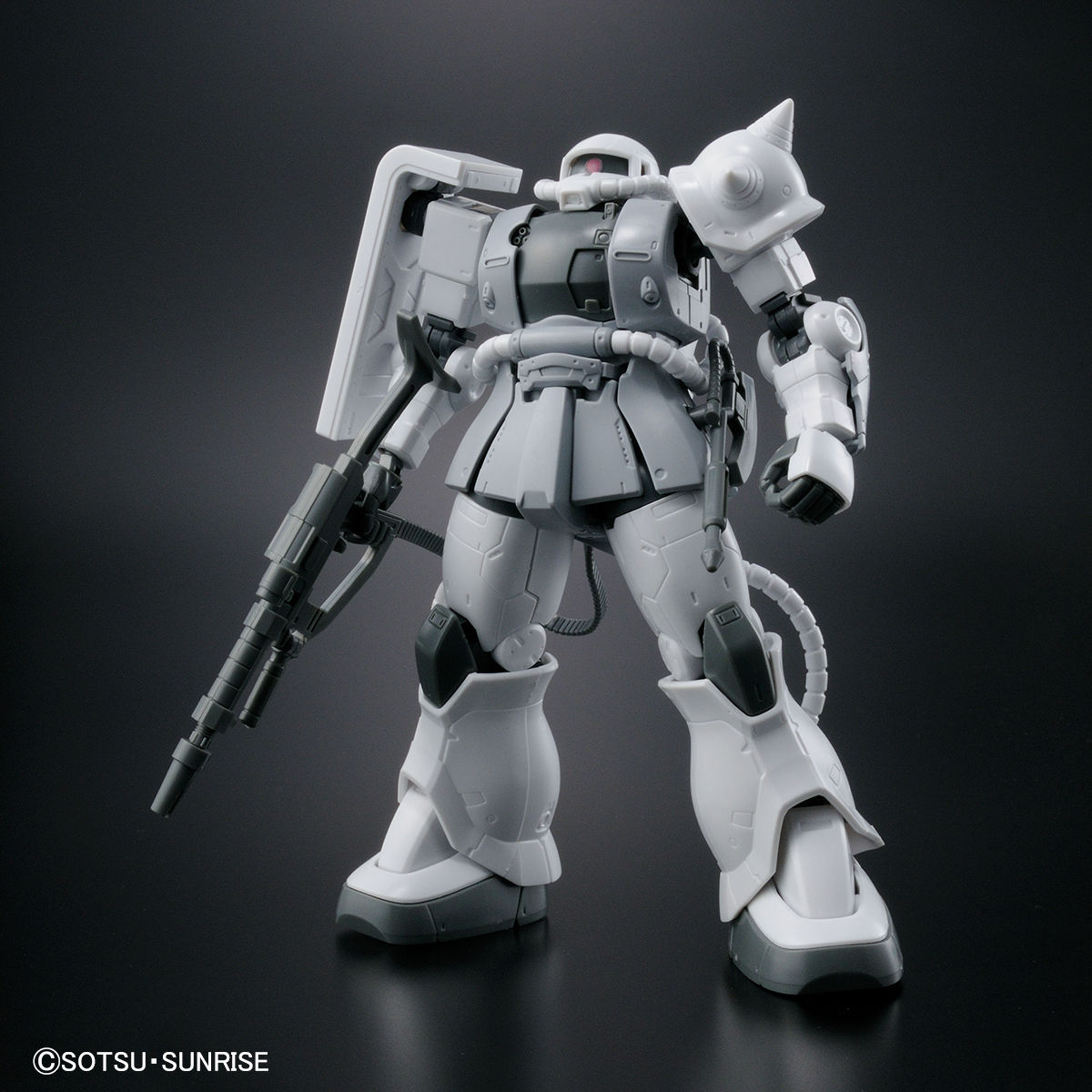 HG 1/144 ガンダムベース限定 ザクII TYPE C-6/R6 [ペインティング
