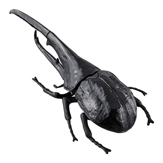 ビッグサイズ 世界の昆虫 パート3｜ガシャポンオフィシャルサイト